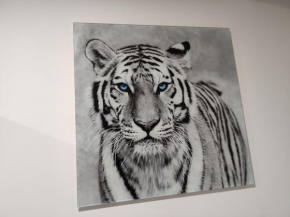 Eye of the Tiger. Apartament w centrum Mrągowa., Mragowo